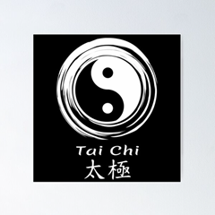 Villages Tai Chi Club