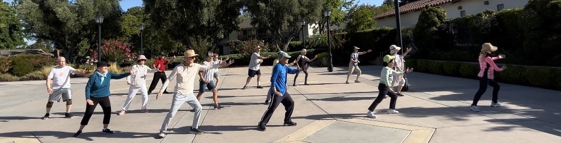 Villages Tai Chi Club